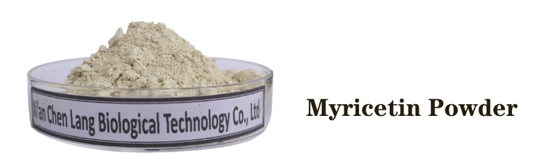 Myricetin .jpg